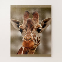 Giraffe Zoo Animal  Portrait Wild Puzzle