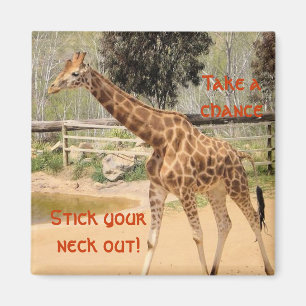 giraffee magnet