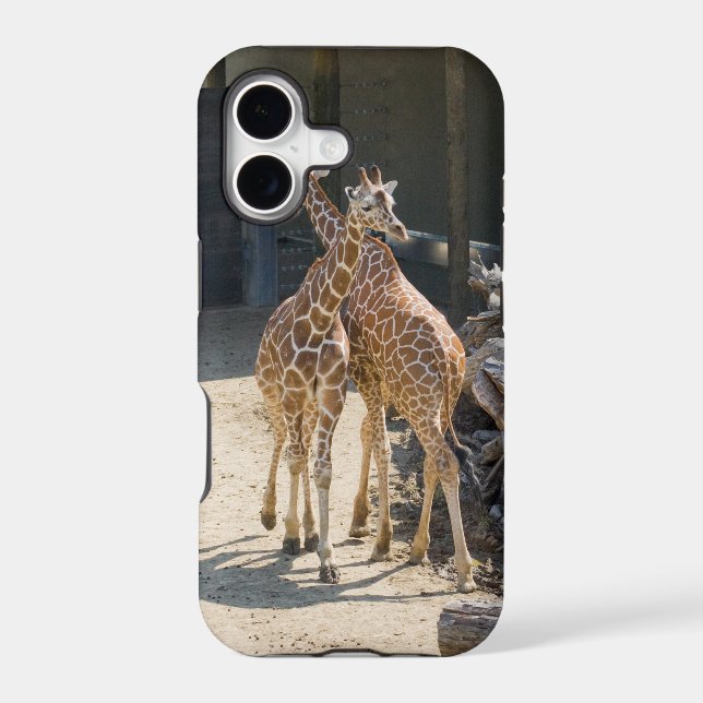 giraffes (Back)