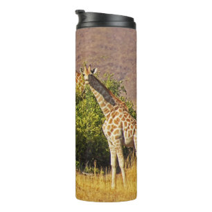 Giraffes 1B Thermal Tumbler