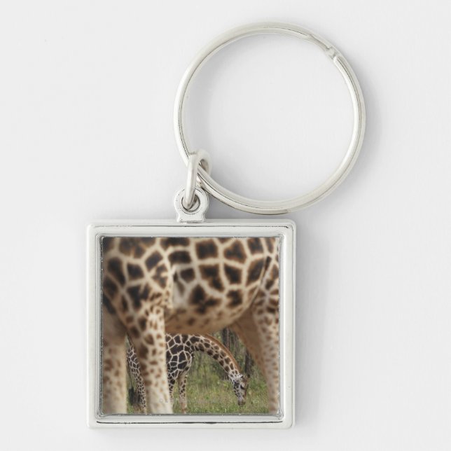 Giraffes 2 key ring (Front)