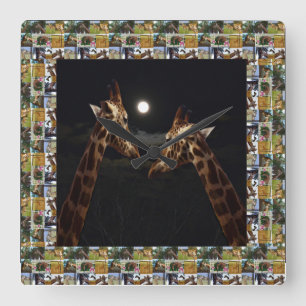 Giraffes A True Love Story, Square Wall Clock
