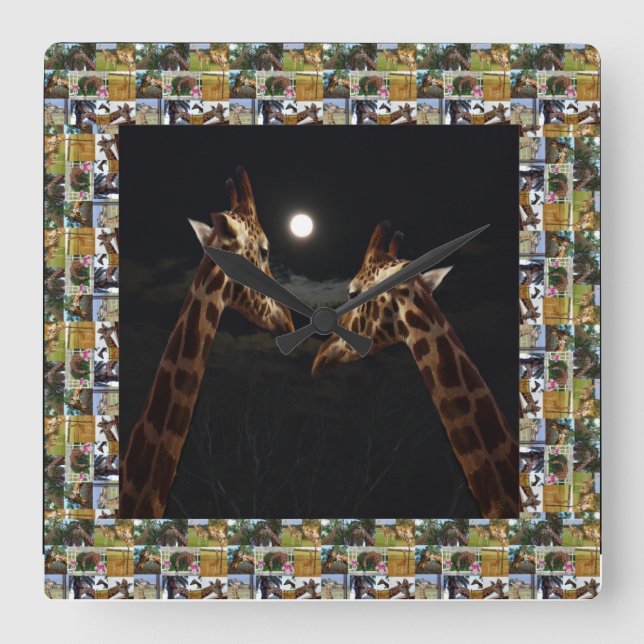 Giraffes A True Love Story, Square Wall Clock (Front)