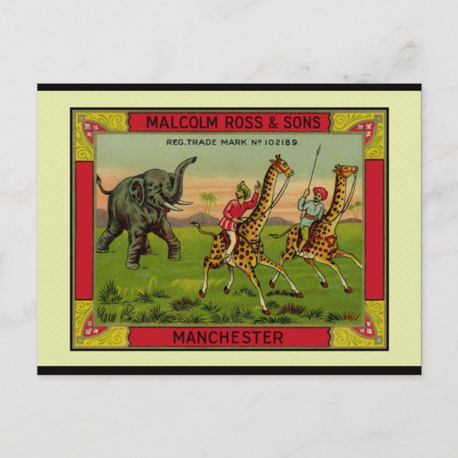 Giraffes and Elephant Postcard (Front)