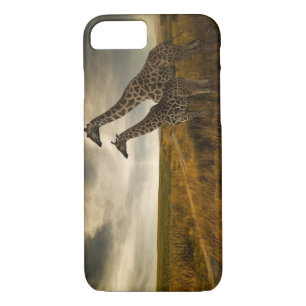 Giraffes and The Landscape iPhone 8/7 Case