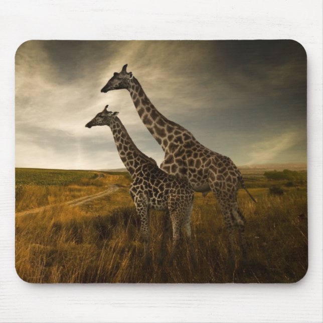 Giraffes and The Landscape Mouse Pad (Front)