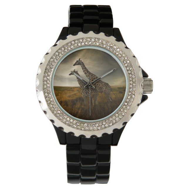 Giraffes and The Landscape Watch (Front)