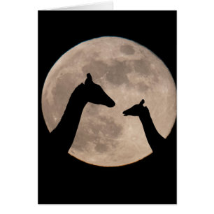 Giraffes At Full Moon