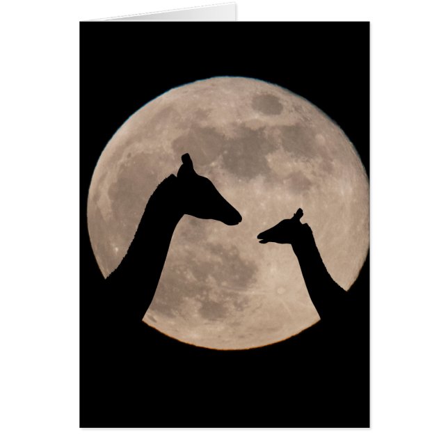 Giraffes At Full Moon (Front)