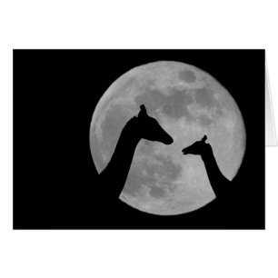 Giraffes At Fullmoon Night