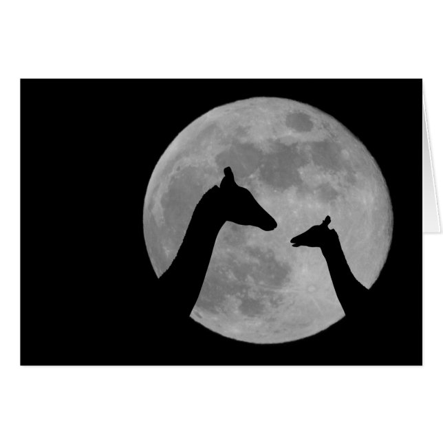 Giraffes At Fullmoon Night (Front Horizontal)