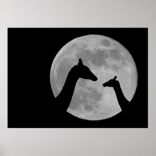 Giraffes At Fullmoon Night Poster