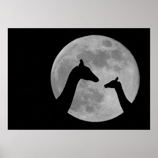 Giraffes At Fullmoon Night Poster (Front)