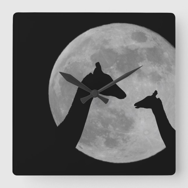 Giraffes At Fullmoon Night Square Wall Clock (Front)