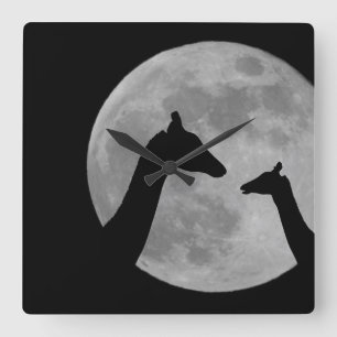 Giraffes At Fullmoon Night Square Wall Clock