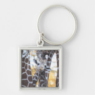 Giraffes at Tama Zoo, Tama Zoo, Tokyo Key Ring