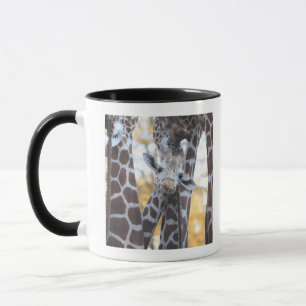 Giraffes at Tama Zoo, Tama Zoo, Tokyo Mug