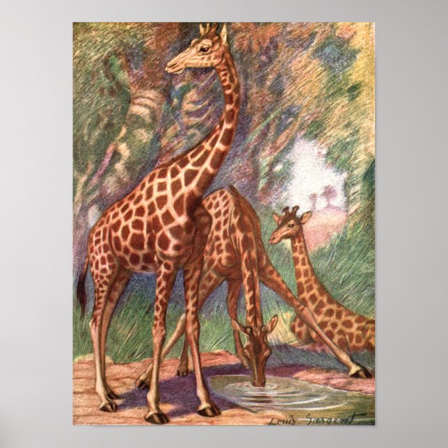 Giraffes by Louis Sargent, Vintage African Animals Poster (Front)