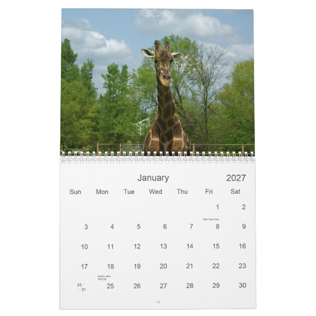 Giraffes Calendar (Jan 2027)