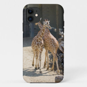 giraffes iPhone 11 case