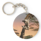 Giraffes Greeting Each Other