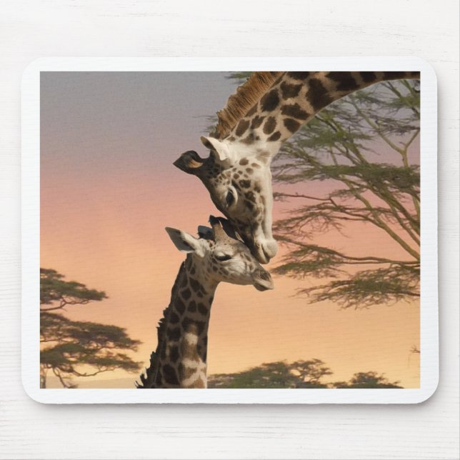 Giraffes Greeting Each Other Mouse Pad (Front)