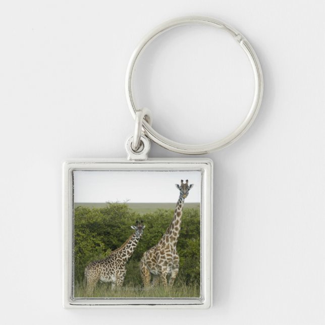 Giraffes in Kenya, Africa 2 Key Ring (Front)