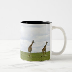 Giraffes in Kenya, Africa Two-Tone Coffee Mug