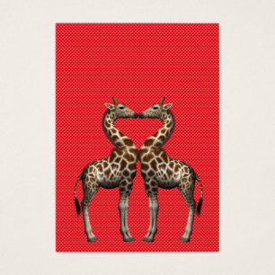 Giraffes In Love