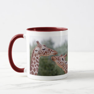 Giraffes in Love Mug