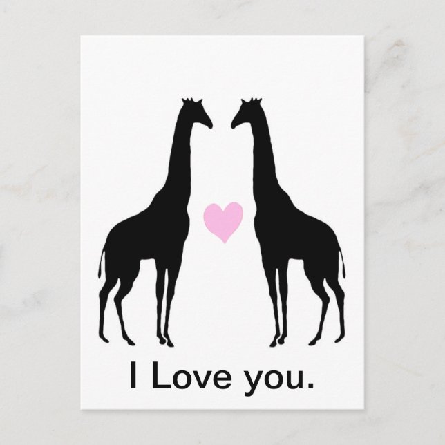 Giraffes in Love Postcard (Front)