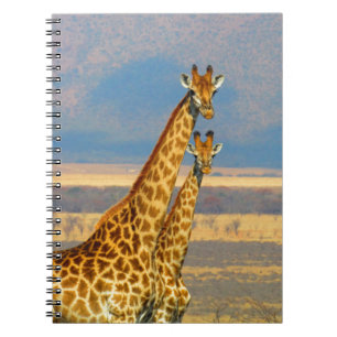 Giraffes in South Africa beautiful nature scenery Notebook