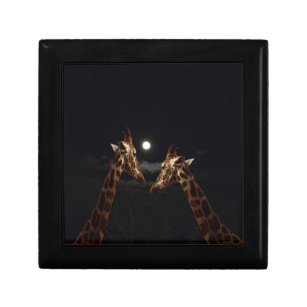 Giraffes_In The Moonlight. Gift Box