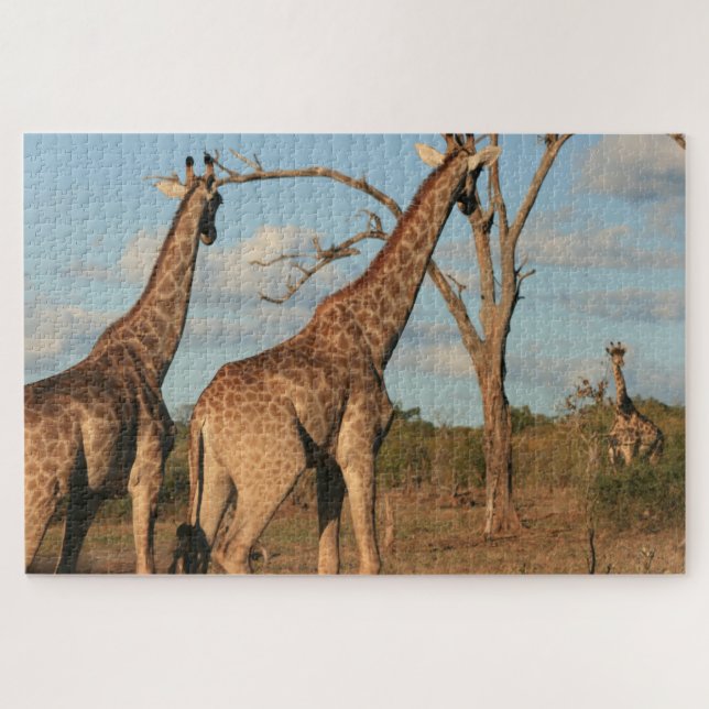 Giraffes Jigsaw Puzzle (Horizontal)