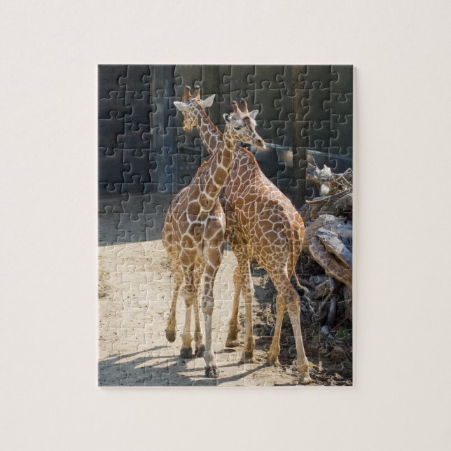 giraffes jigsaw puzzle (Vertical)