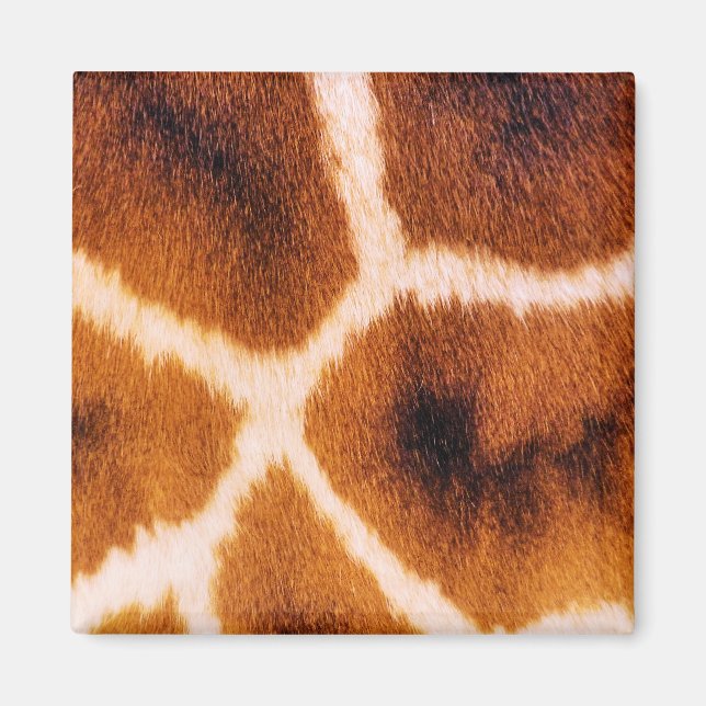 GIRAFFES MAGNET (Front)