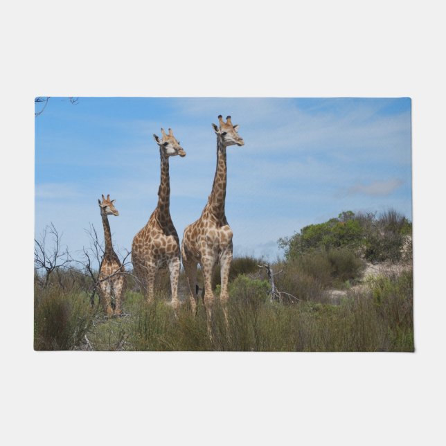  Giraffes on Rustic Savanna Path Doormat (Front)