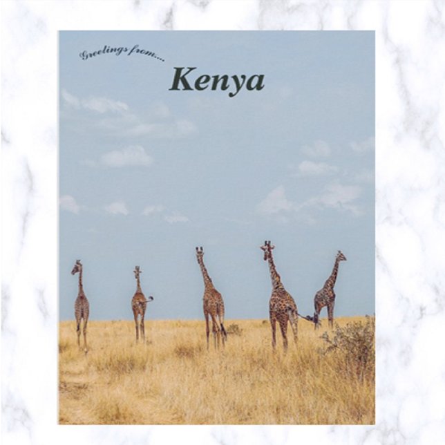 Giraffes on the Masai Mara National Reserve Kenya Postcard (Creator Uploaded)