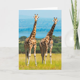 Giraffes on the Savanna, Uganda Card