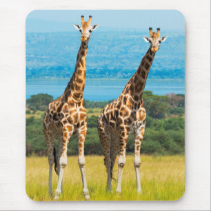 Giraffes on the Savanna, Uganda Mouse Pad