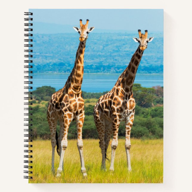 Giraffes on the Savanna, Uganda Notebook (Front)