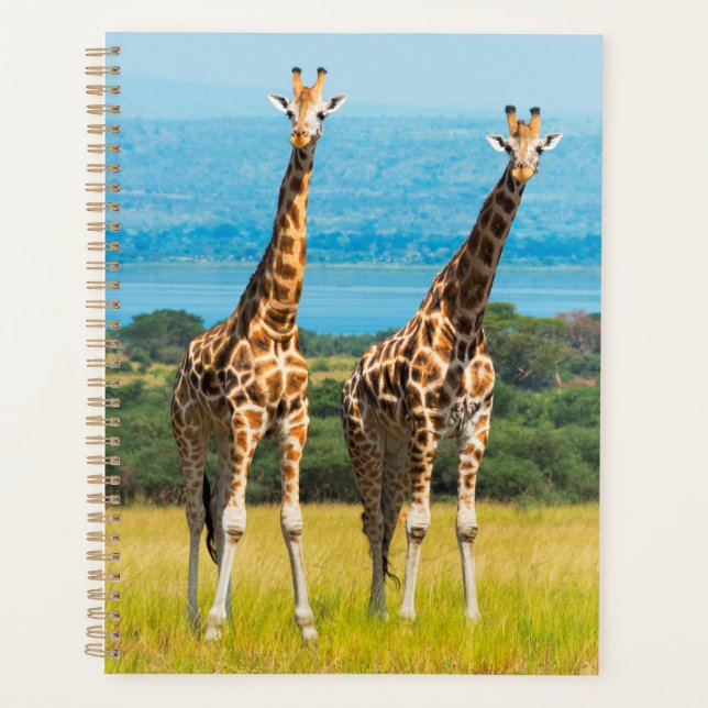 Giraffes on the Savanna, Uganda Planner (Front)