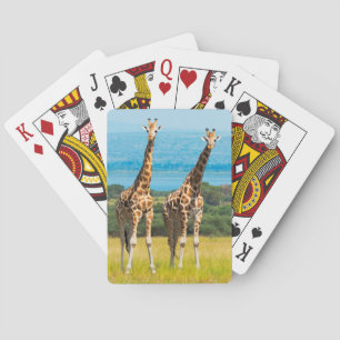 Giraffes on the Savanna, Uganda Playing Cards