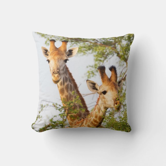 Giraffes Peeking Above Vegetation Cushion (Front)