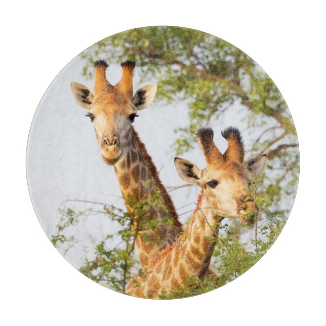 Giraffes Peeking Above Vegetation Cutting Board (Front)