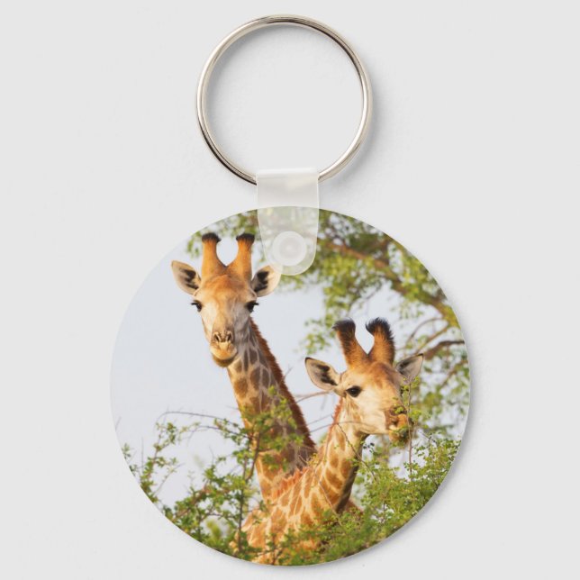 Giraffes Peeking Above Vegetation Key Ring (Front)