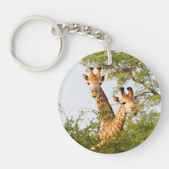 Giraffes Peeking Above Vegetation Key Ring (Front)