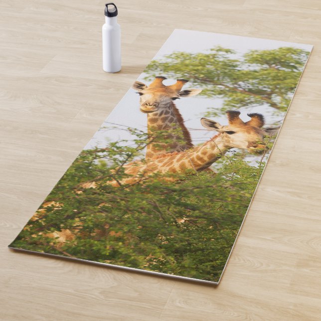 Giraffes Peeking Above Vegetation Yoga Mat (In Situ)