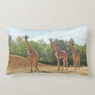 Giraffes Pillow