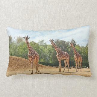 Giraffes Pillow